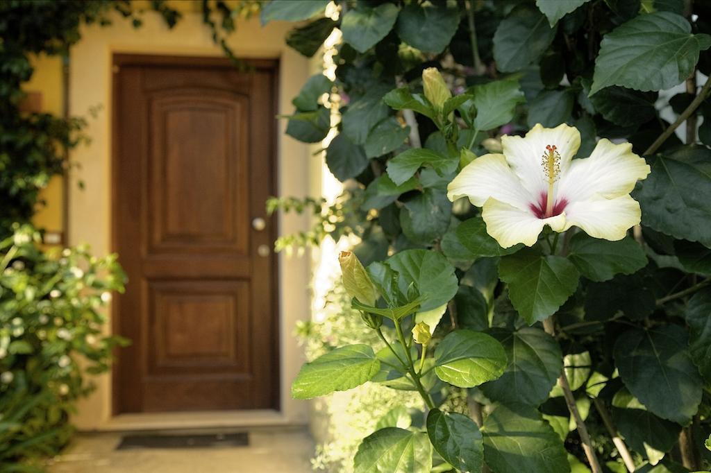 Hotel Bv Borgo Del Principe Zambrone Exteriér fotografie